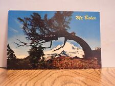 Mt Baker Washington Chrome Postcard A459 picture