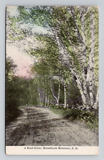 Postcard Road & Birch Trees Monadnock Mountain New Hampshire NH, Antique M6 picture