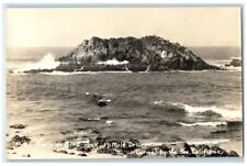c1920's Seals On Bird Rock Carmel-By-The-Sea California CA RPPC Photo Postcard picture
