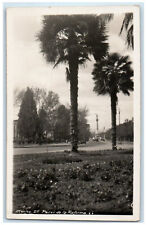 c1930's Paseo De La Reforma Mexico City Mexico Vintage RPPC Photo Postcard picture