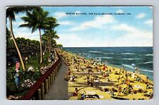 Palm Beach FL-Florida, Winter Bathing, Antique, Vintage Postcard picture
