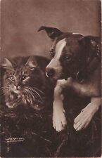 Cute Cat and Dog Posing A/S Bullard 1908 Postcard picture