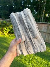 Texas Petrified Live Oak Wood Log Bark 12