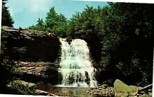 Vintage Postcard- Muddy Creek Falls, Swallow Falls State Forest, UnPost 1960s picture