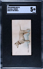 1890 N163 Goodwin & Co. Old Judge Bull Terrier Dogs of the World SGC 5 picture
