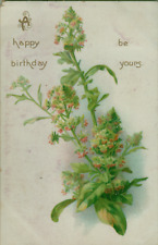 Birthday Tuck s Postcard p12809 1908 picture