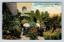 Long Beach CA, Hotel Virginia, Gardens, California c1916 Vintage Postcard picture
