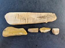 Lot of Five (5) Full And Partially Fossilized Walrus/Seal Bones Alaska  picture