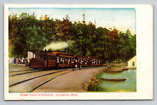 Ludington Michigan Dummy Train Epworth c1909 MI Postcard picture