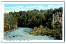 c1920's View Of Slippery Rock Creek Rose Point Pennsylvania PA Unposted Postcard picture