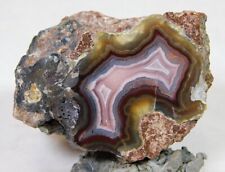 BEAUTIFUL COLORS LAGUNA BANDED AGATE POLISHED NODULE SPECIMEN MUST SEE picture