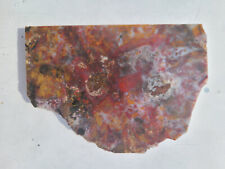 Moss Agate Slab red and Yellow picture