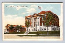 Cadillac MI-Michigan, Wexford County Court House, Antique, Vintage Postcard picture