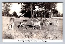 Irons MI-Michigan, RPPC Scenic Greetings, Deer, Big Bass Lake, Vintage Postcard picture