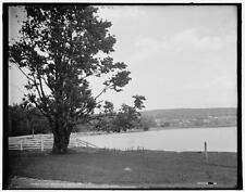 Lake Royer and Buena Vista c1900 OLD PHOTO picture