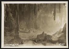 Photo:Cypress Swamp picture