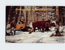 Postcard Gathering Sap in Unspoiled Vermont picture