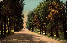 Postcard Tree Lined Street Scene South Main Street Orrville OH Ohio 1916 picture