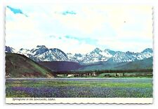 Springtime In The Sawtooth's  Near Hwy. 75 Idaho Continental View Postcard picture
