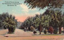 GA~GEORGIA~SAVANNAH~TROPICAL SCENE AMONG THE PALMETTOS IN COLONIAL PARK~C.1910 picture
