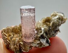 26 Carat Full Terminated Rare Pinkish Apatite Crystals On Matrix From Pakistan picture
