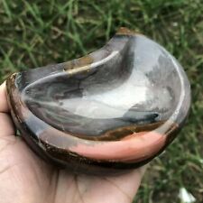 545g Natural Energy Stone Sea Stone Ancient Rock ashtray 586 picture