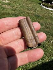 Florida Fossil Quality Giant Armadillo Tooth picture