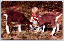 Animals~Greetings From Sunbury PA~3 Little Kids~Boy & 2 Kid Goats~Vintage PC picture