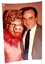 Vtg  Gay Leo Cir 1970s Cross Dresser Miss Piggy Snapshot Photo  Interest picture