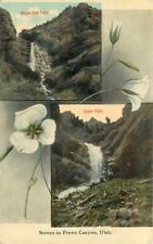 Beautiful Flowers Bridal Veil Upper Falls 1913 Postcard Souvenir 21-3277 picture