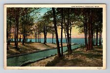 Cadillac MI-Michigan, Lake Mitchell, River Lined with Trees, Vintage Postcard picture