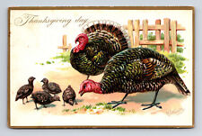 c1908 TUCKS Embossed Thanksgiving Day Turkeys & Chicks Postcard picture