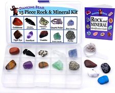 15 Pc Rock & Mineral Collection with Collector Box/Display Case, ID Sheet -USA picture
