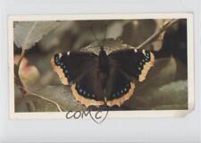 1983 Doncella British Butterflies Tobacco Camberwell Beauty #15 1i3 picture