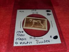 1948 TOPPS MAGIC PHOTOS OF AMERICAN DOGS  #11G  ENGLISH  BULLDOG picture