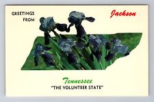 Jackson TN- Tennessee, General Flower Greetings, Antique, Vintage Postcard picture
