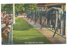 Chicago IL Postcard Lincoln Park Zoo Elephant picture