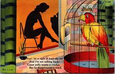 VTG RISQUE SILHOUETTE NAKED WOMAN WITH PARROT HUMOR COMIC POEM LINEN POSTCARD picture