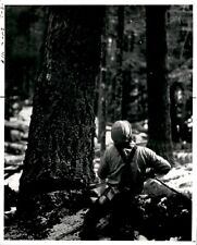 LG970 1985 Orig Photo TIMBER JOBS CUT Forest Service Wenatchee National Forest picture