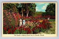 Orlando FL-Florida, Hedge of Sweet Peas, Lake Eola, Vintage c1966 Postcard picture