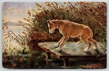 Artist~Wolf Hound on Dock in Stare Down with Frog on Lily Pad~M Stocks~c1910 PC picture