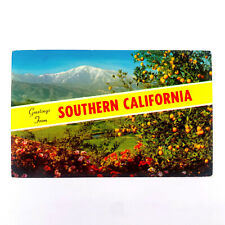 Postcard California CA Southern Greetings Mt Baldy Orange Grove 1964 Chrome picture