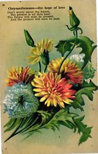 Vintage Postcard- 8. Chrysanthemum. Hope of love. Embossed flowers Unposted 1905 picture