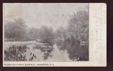 BRIDGETON NEW JERSEY 1906 Water Lily Field Raceway Vintage postcard PC picture