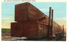 Postcard OR Oregon Toothpicks from Oregon Forest Unposted Linen Vintage PC G9045 picture