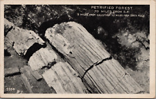 Early 1900's Petrified Forest Logs Calistoga CA Sonoma County Pliocene Epoch picture