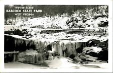 RPPC Winter Scene Babcock State Park Clifftop West Virginia WV UNP Postcard C12 picture