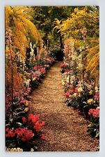 Scenic View Floral Pathway Longwood Gardens Kennett Square PA Postcard Unused picture