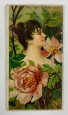 1892 N75 Duke Floral Beauties Peony Archness NSB20 picture