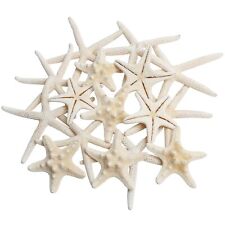 16pcs Natural Starfish for Crafts, 1.2-2.7 Inch Bulk Star Fish Shells Ornamen... picture